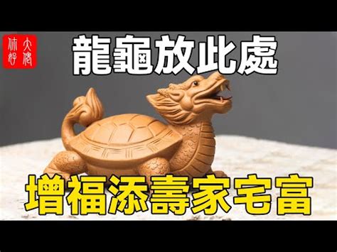 龍龜不適合什麼生肖